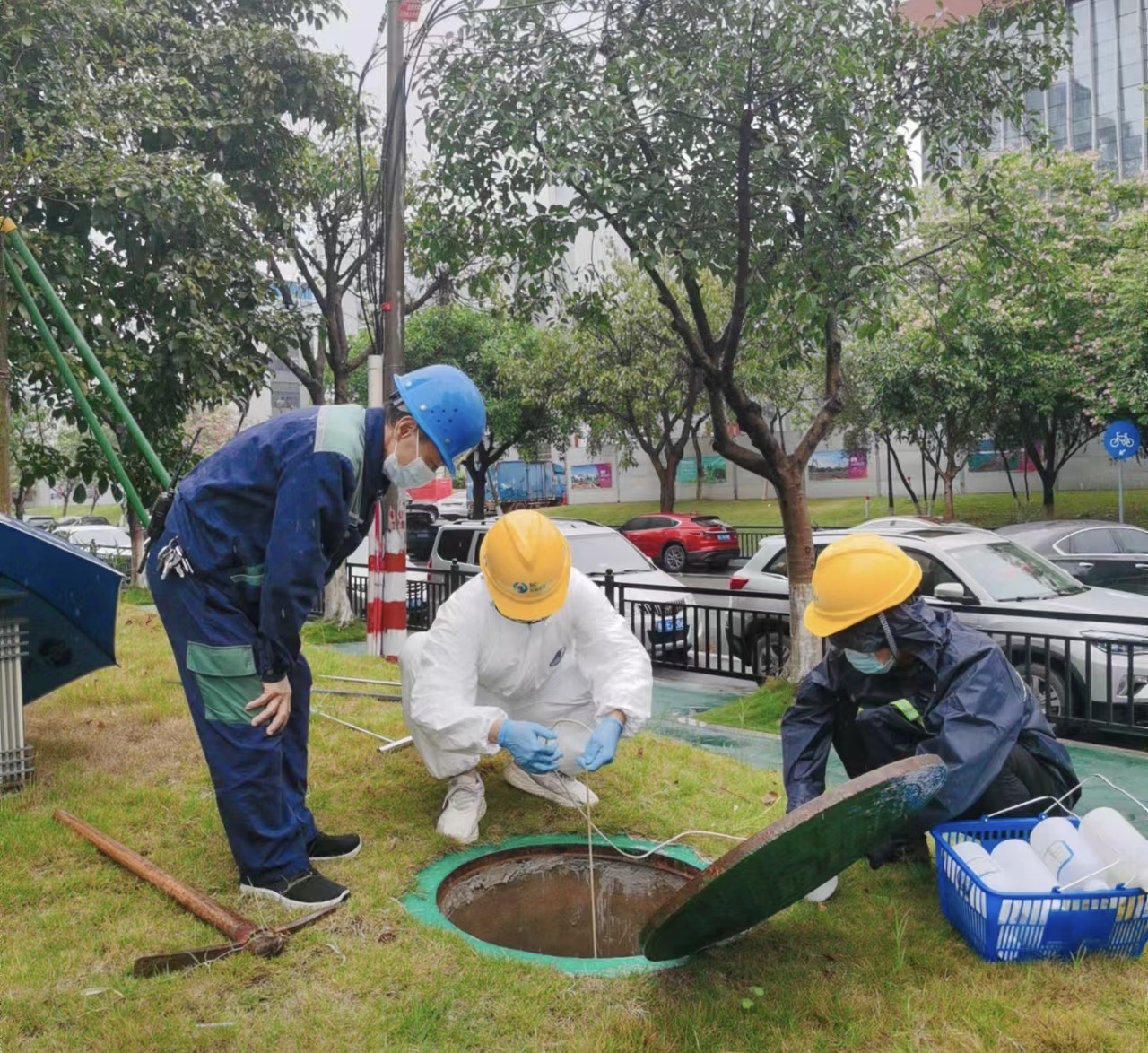 1703570356295891.jpg 11.jpg