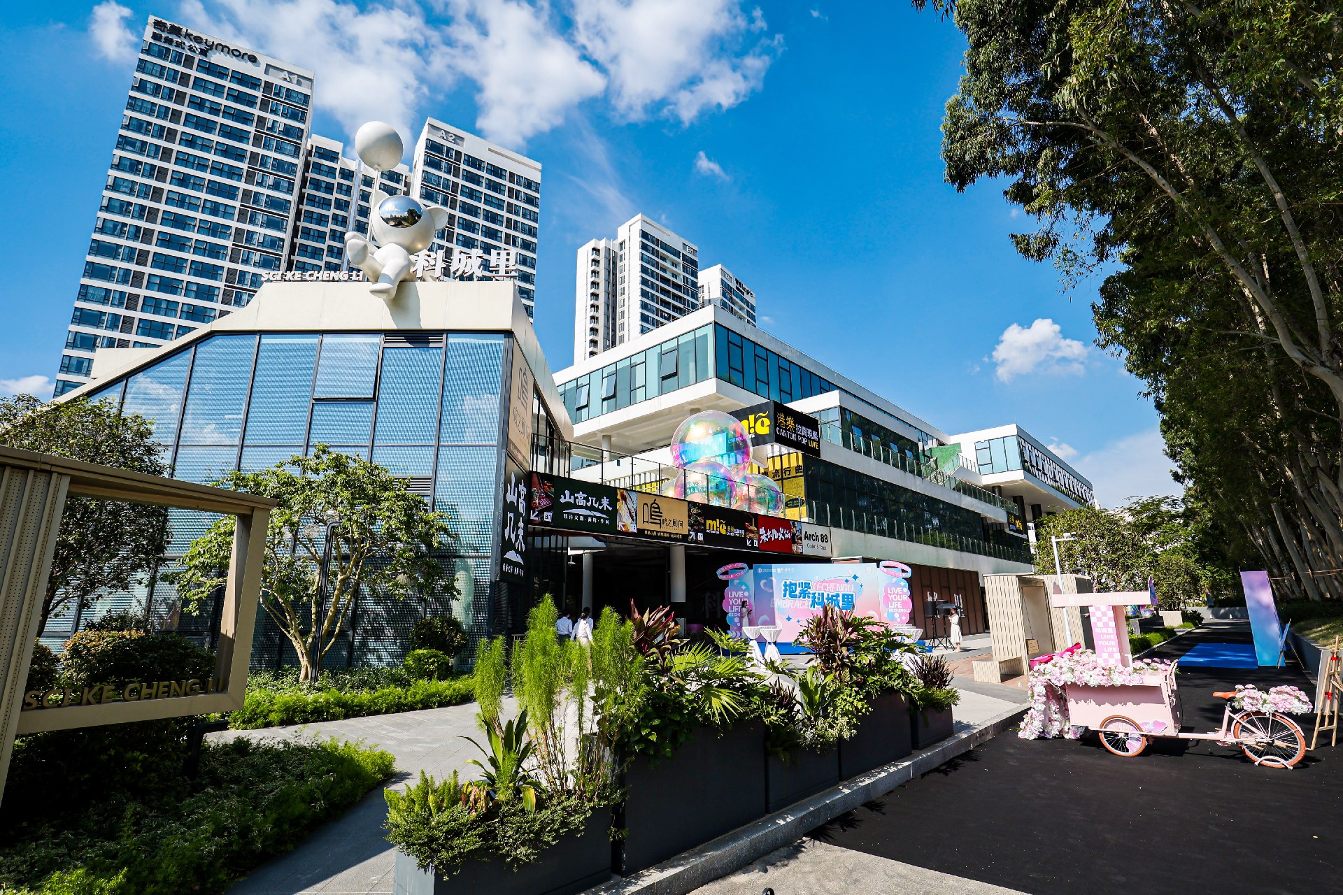 1742872213125332.jpg CHEN9532.JPG